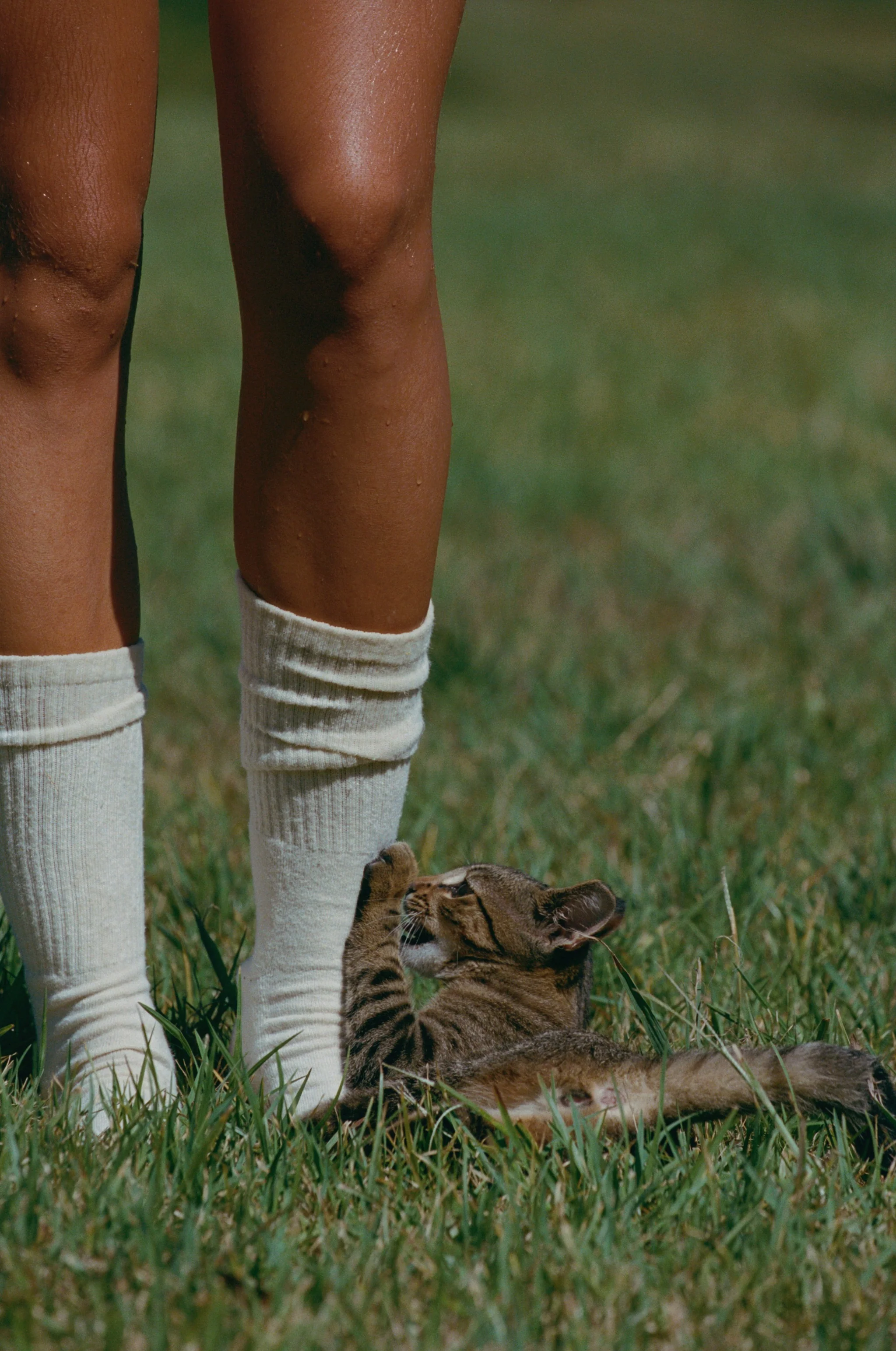 Hemp Crew Socks - Image 3